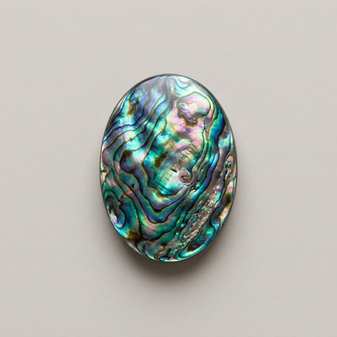 Abalone